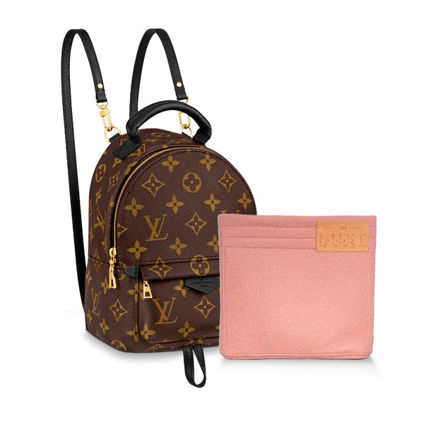 Louis Vuitton Palm springs PM backpack rug sack monogram Brown
